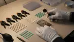 Perfekte Zentrierung für Top-Grading-Ergebnisse